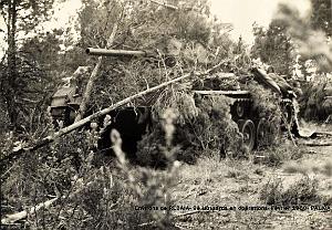 39a- Palica - 9e Hussards